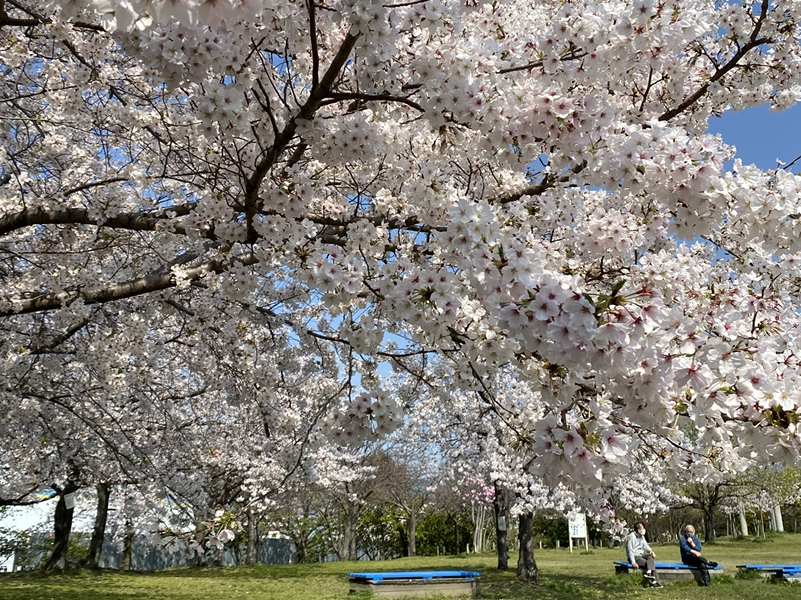 弁天池公園