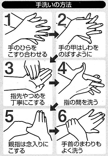 手洗いの方法説明イラスト