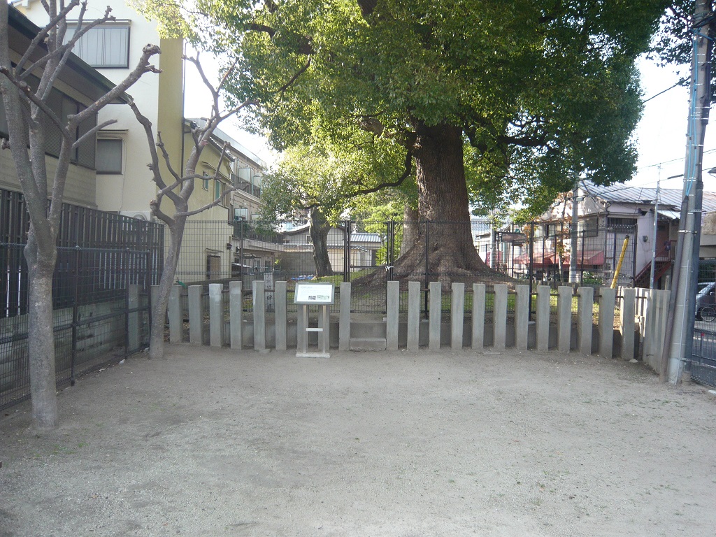 茨田堤史跡広場東側