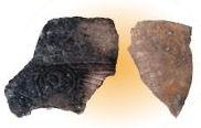 西三荘遺跡から出土した縄文土器の写真