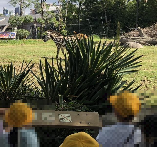 天王寺動物園2