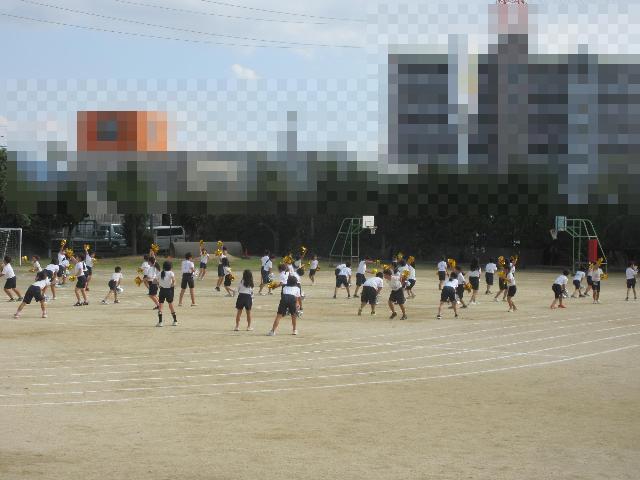 ポンポンもって踊る