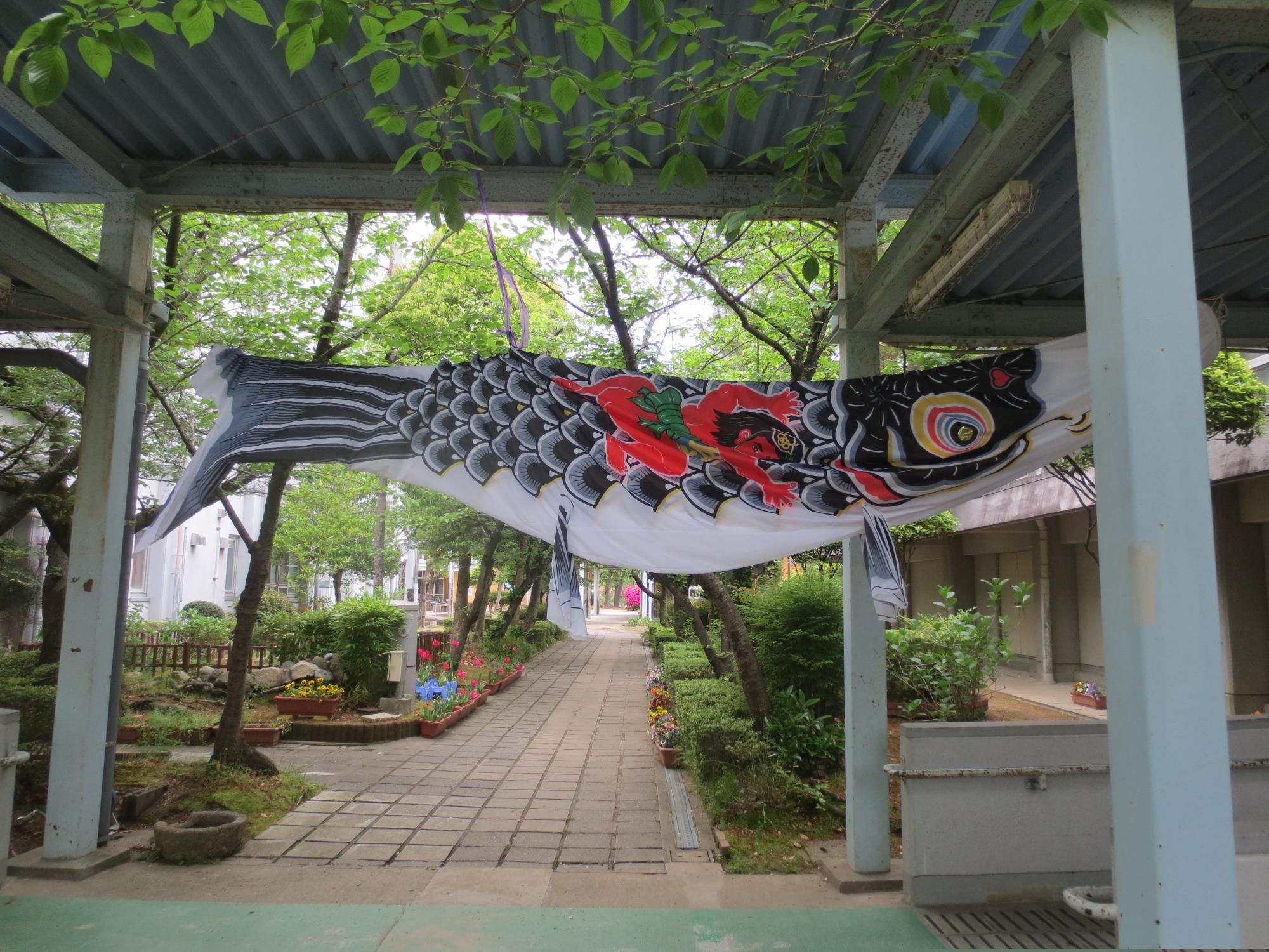 koinobori