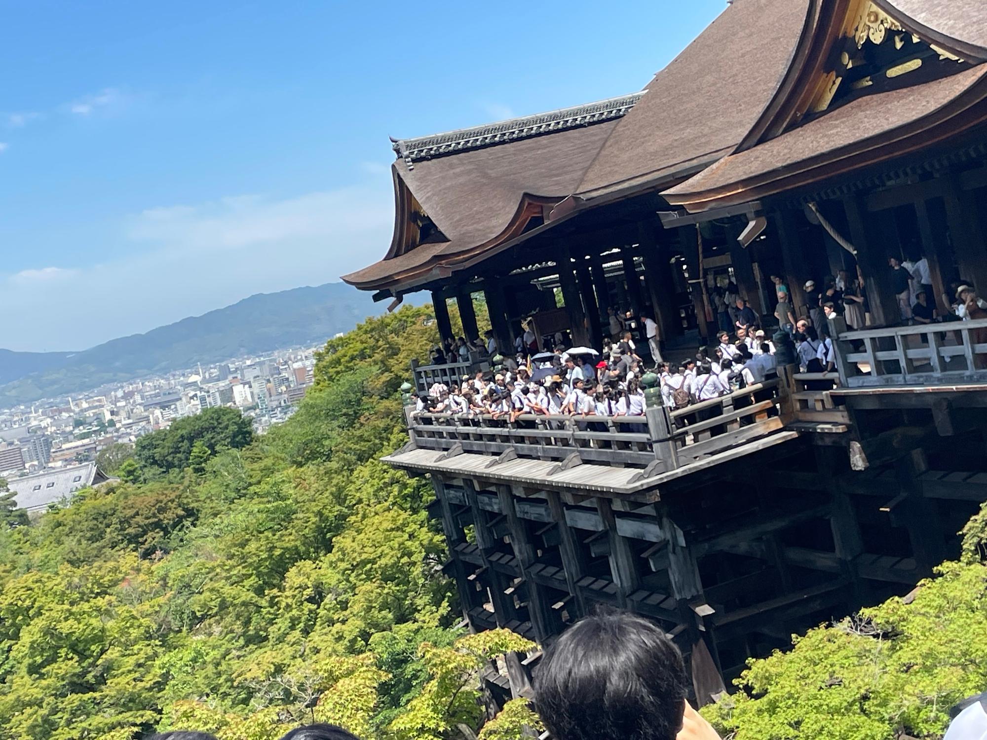 歴史