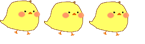 ひよこ3連
